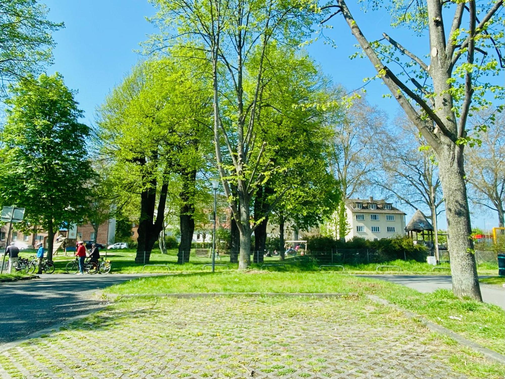 Kassel: Alles, Was Du Brauchst! Eksteriør billede
